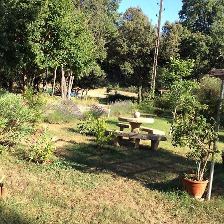 La Campagne De Mari Villa Peyrolles-en-Provence Kültér fotó